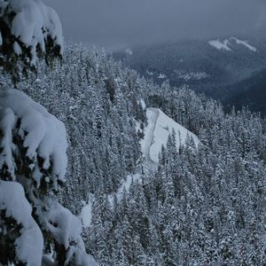 Meet your Posher, Joël